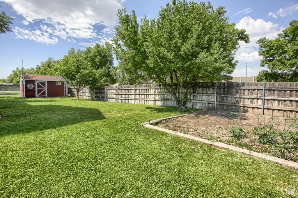 Fenced backyard with a storage unit