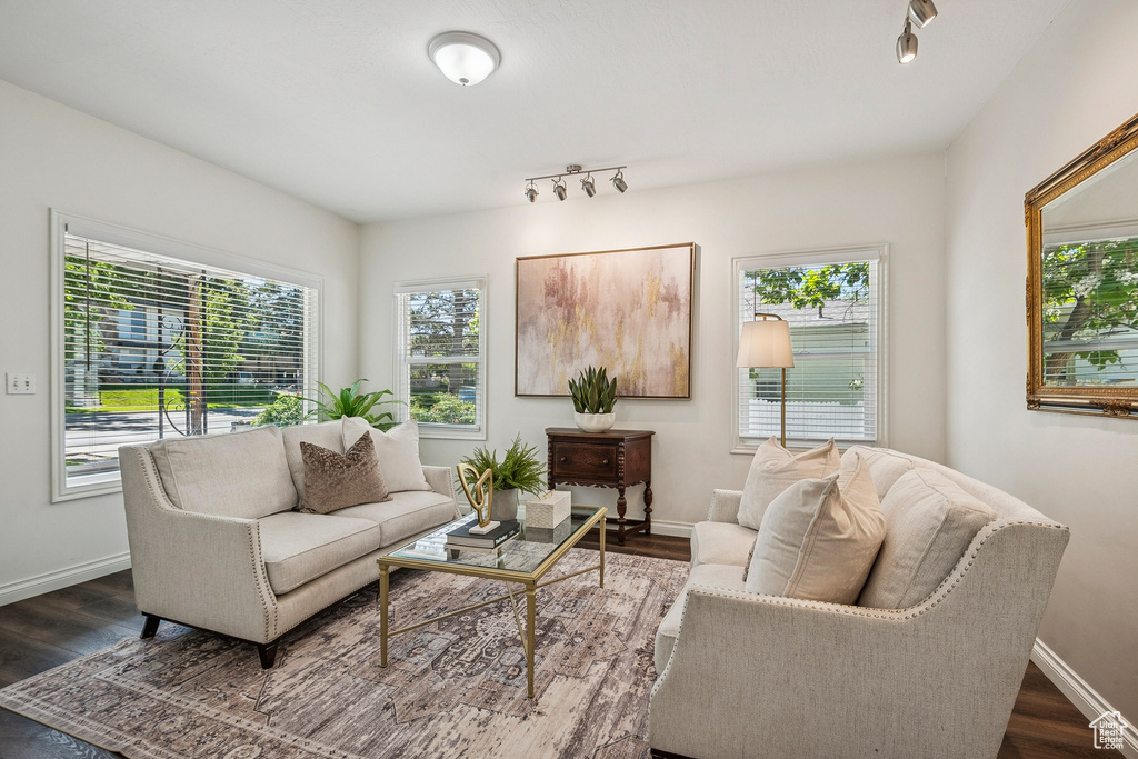 Living area with track lighting and plenty of natural light