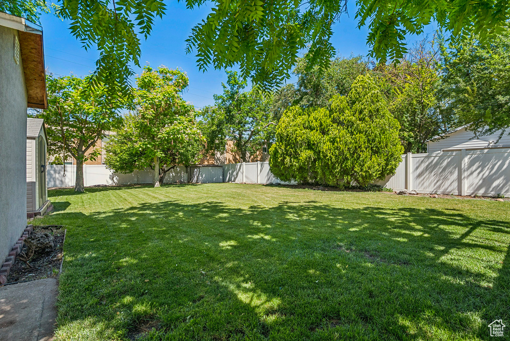 View of yard