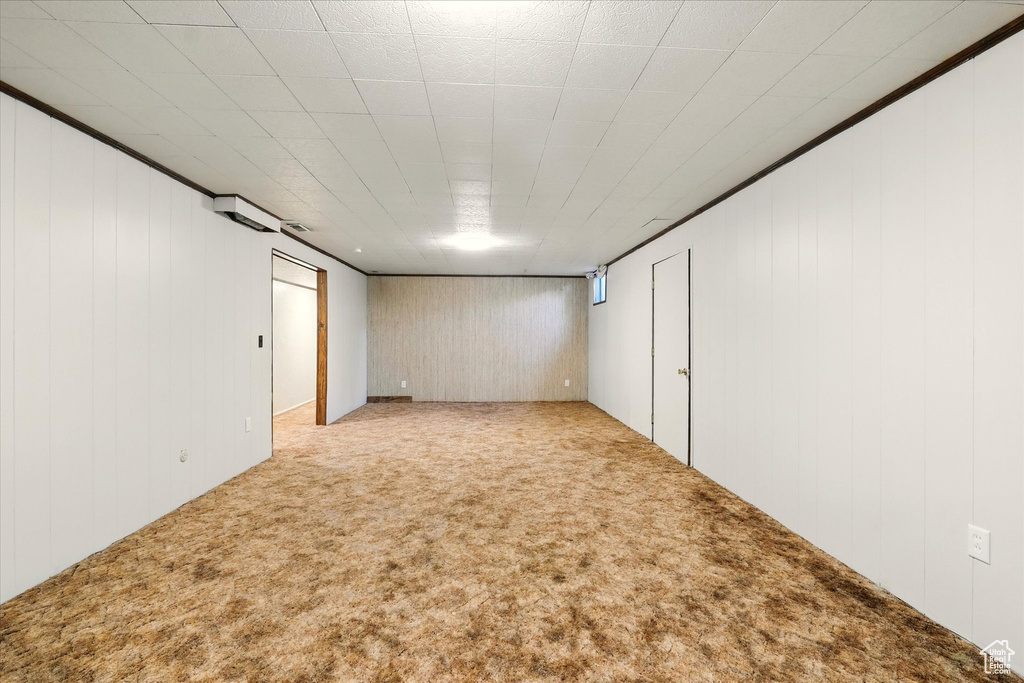Finished basement featuring carpet floors and wood walls