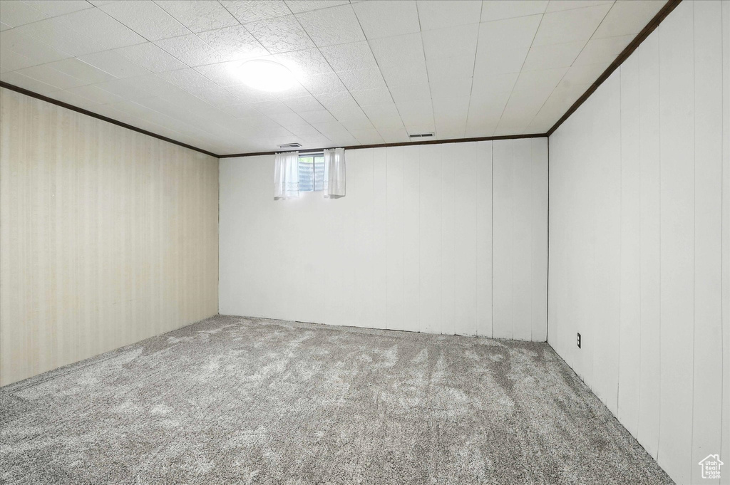 Below grade area featuring carpet and wooden walls