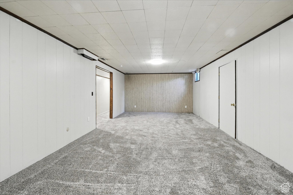 Below grade area featuring carpet flooring and wooden walls