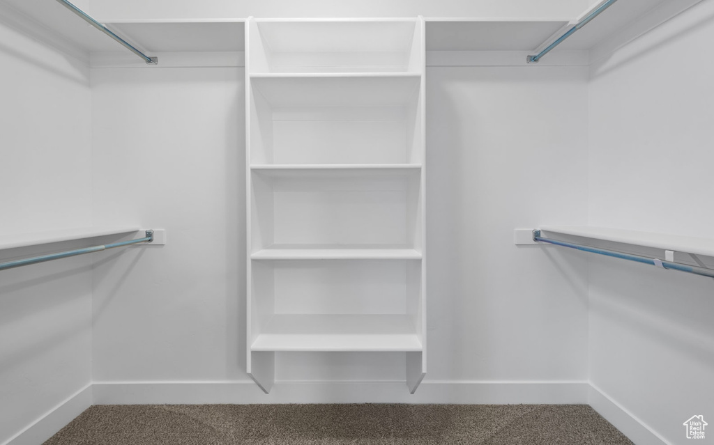 Walk in closet featuring carpet floors