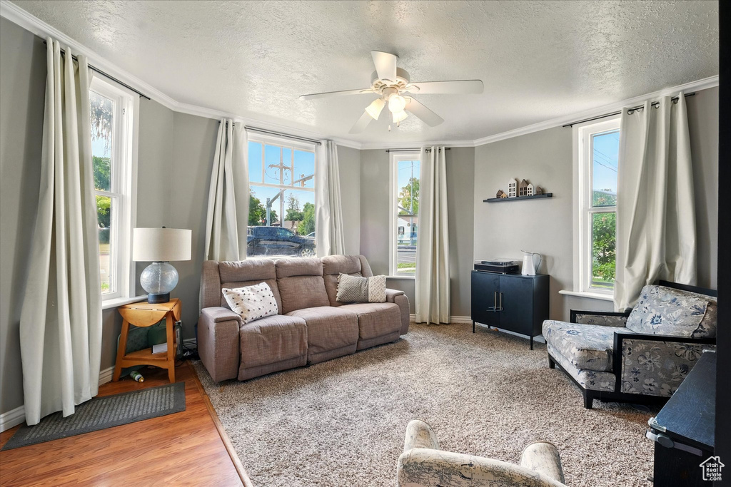 Living area with a textured ceiling, a ceiling fan, healthy amount of natural light, ornamental molding, and wood finished floors