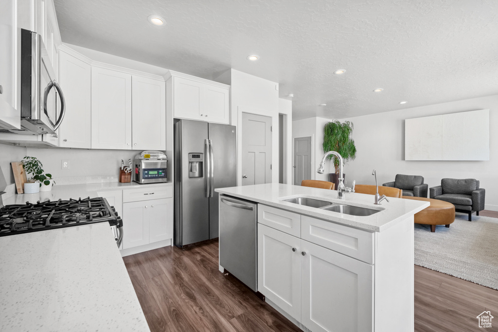 Kitchen with stainless steel appliances, open floor plan, dark wood-style flooring, recessed lighting, and a center island with sink