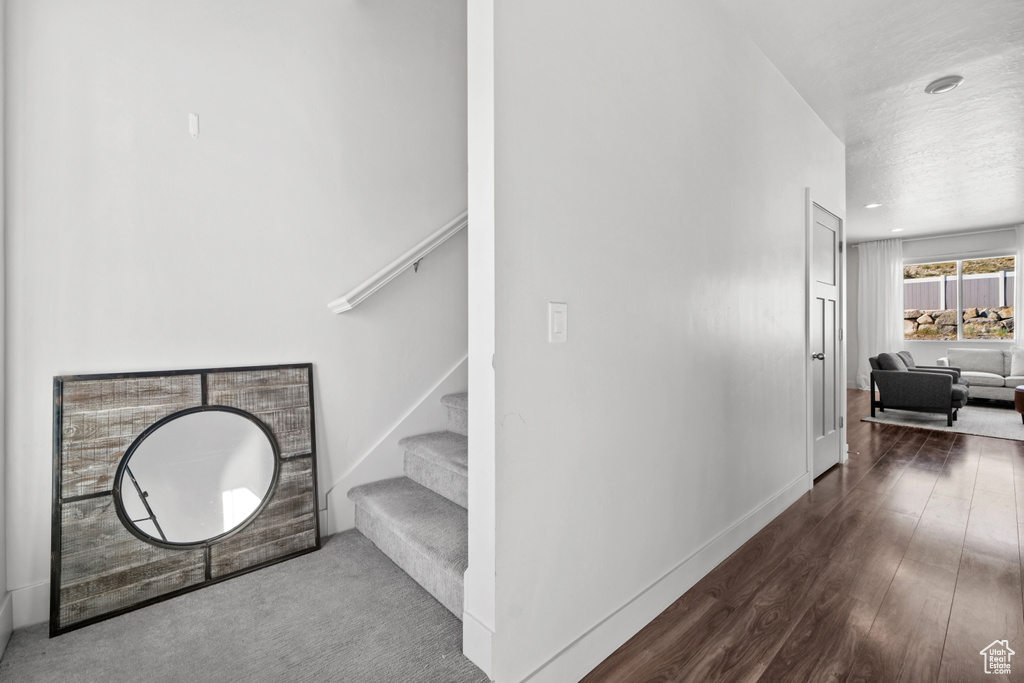Stairs with wood finished floors and baseboards