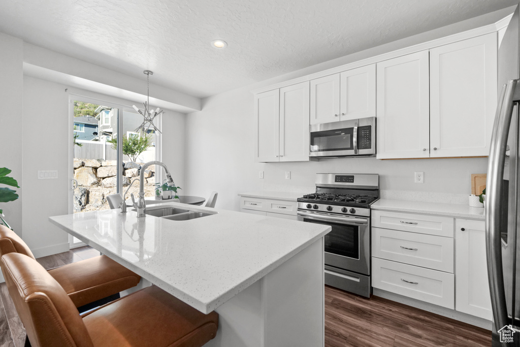 Kitchen with stainless steel appliances, white cabinetry, dark wood finished floors, recessed lighting, and a kitchen island with sink