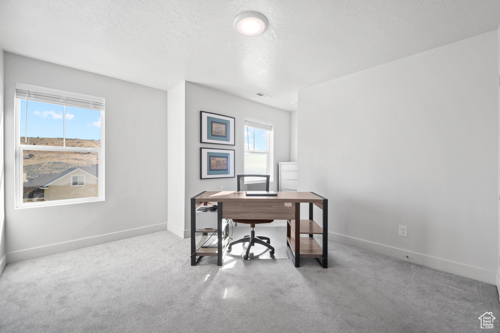 Carpeted office featuring baseboards and a textured ceiling