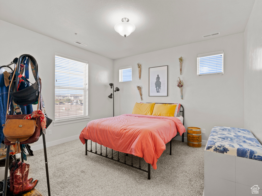 Bedroom with carpet flooring and multiple windows