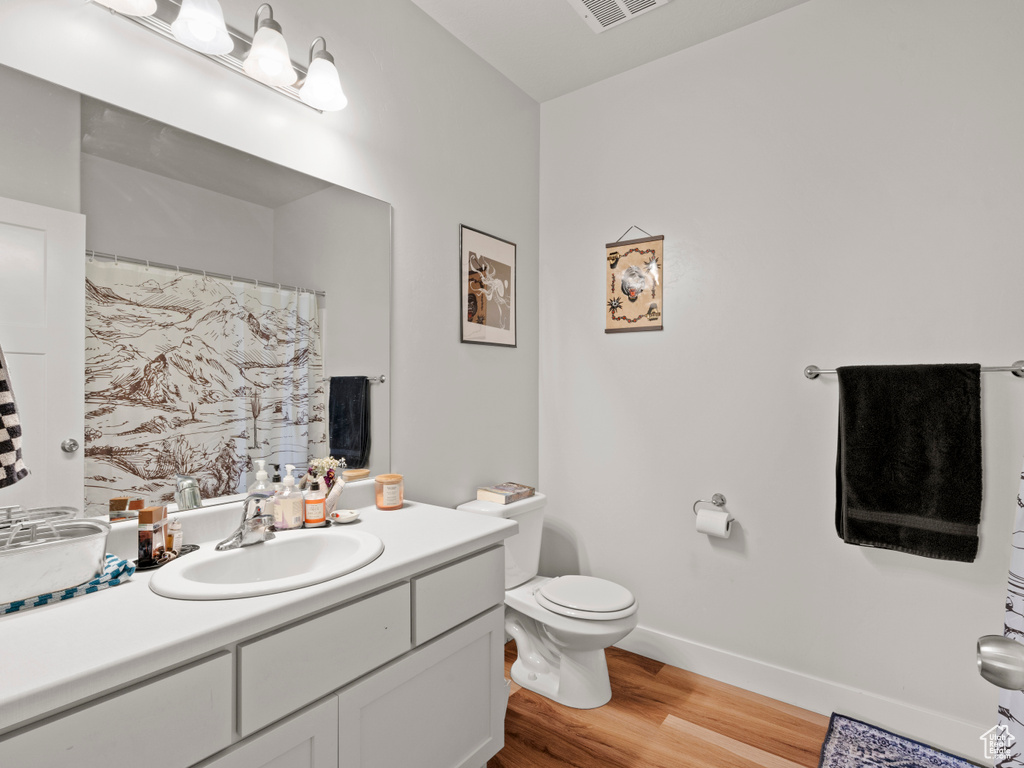 Bathroom featuring vanity, wood finished floors, and a shower with curtain