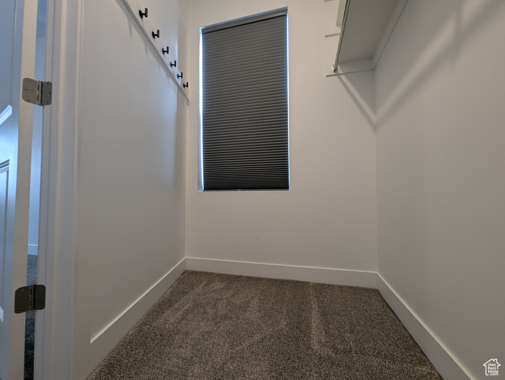 Spacious closet featuring dark colored carpet