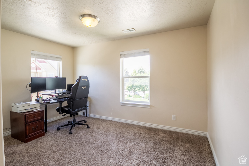 Carpeted office featuring a textured ceiling