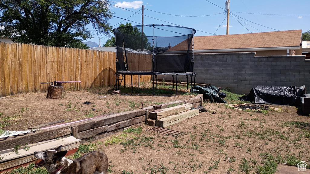 Fenced backyard with a trampoline
