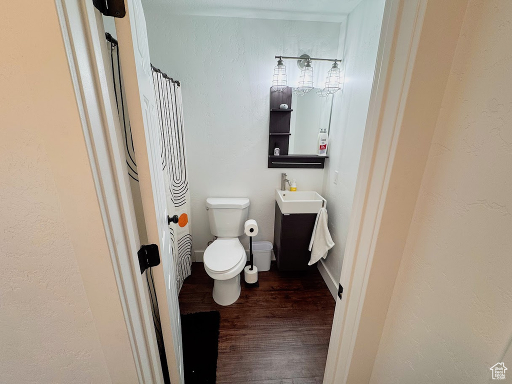 Full bathroom with wood finished floors, vanity, and a shower with curtain