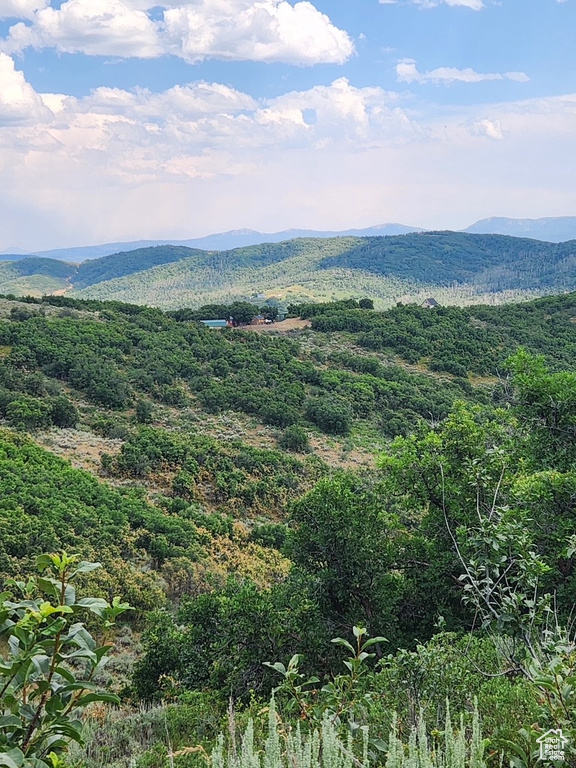 View of mountain background featuring a forest