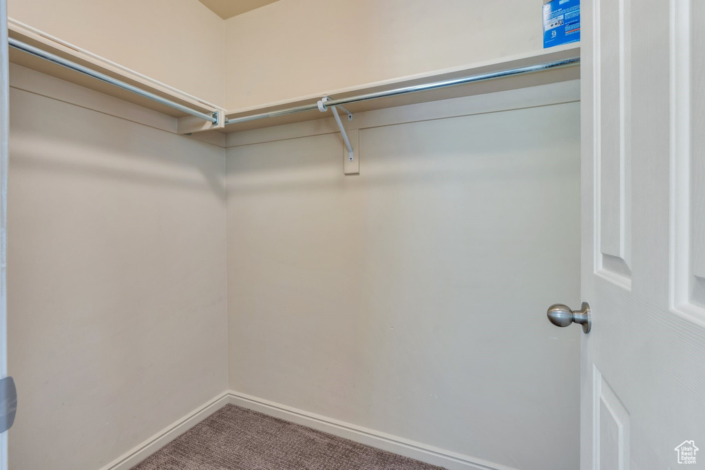 Spacious closet featuring carpet flooring