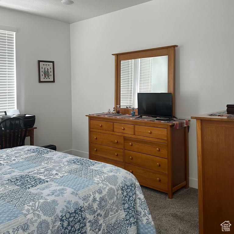 Bedroom with carpet floors