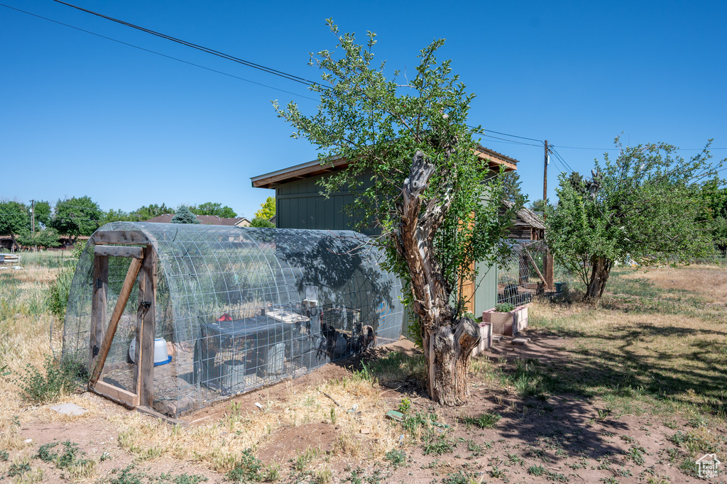 View of poultry coop