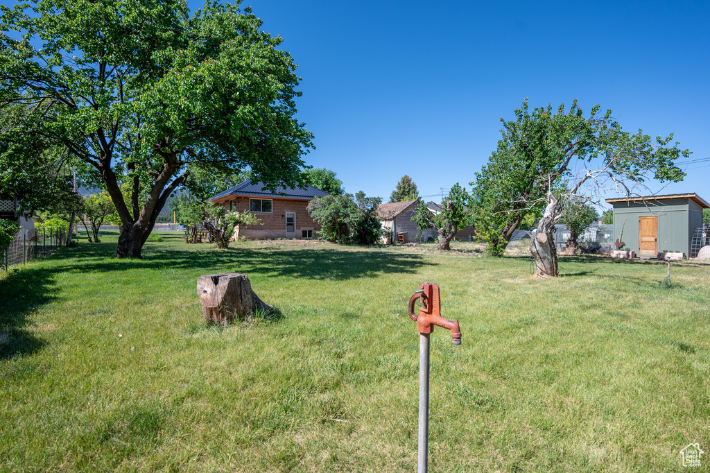 View of yard