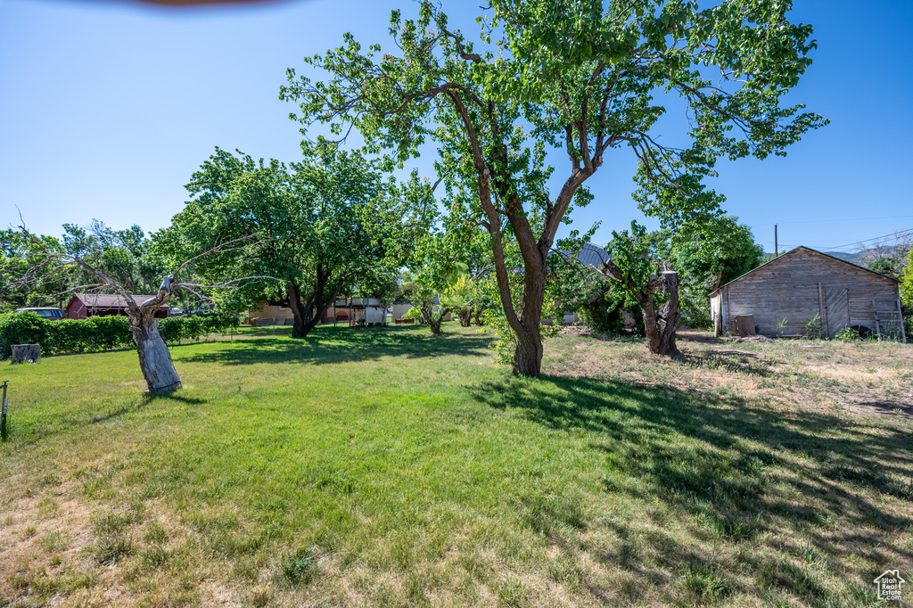 View of green lawn