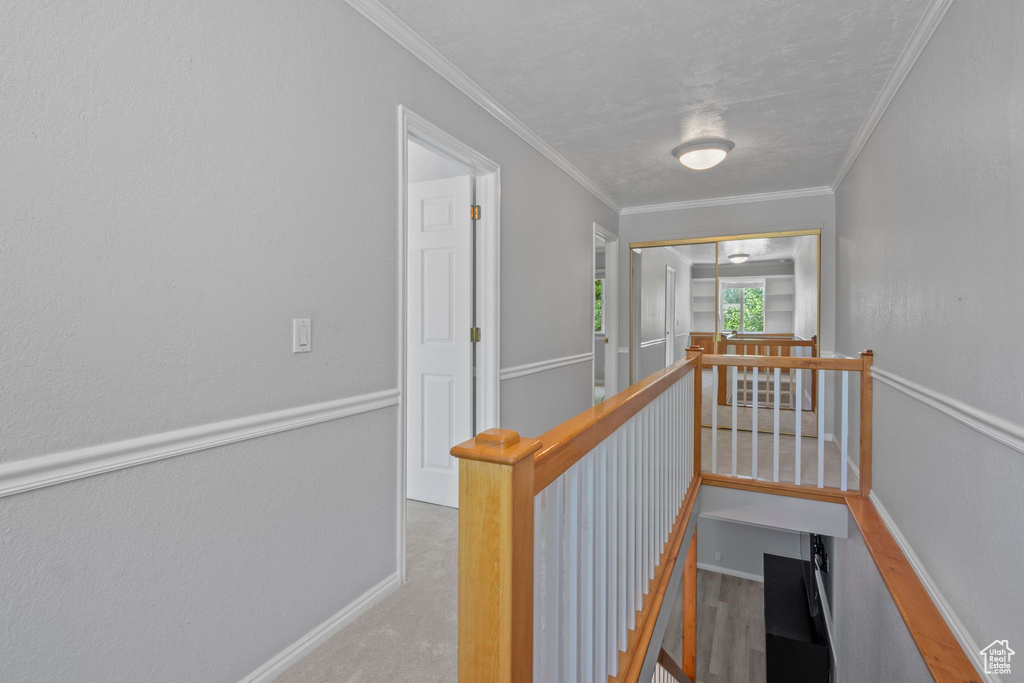 Hallway with an upstairs landing, crown molding, and carpet floors