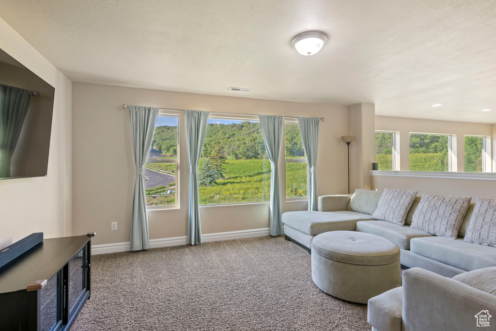 Living area with baseboards and carpet floors