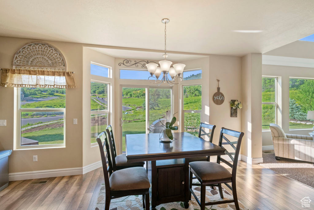 Dining area with wood finished floors, baseboards, a chandelier, and plenty of natural light