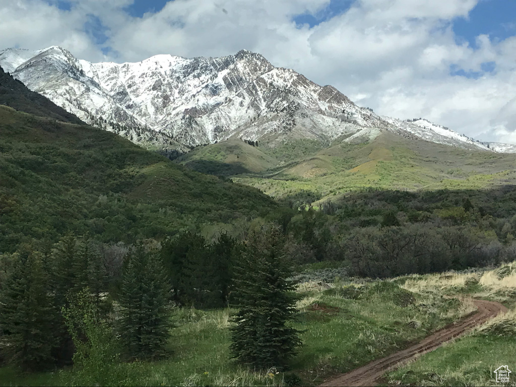 View of mountain background