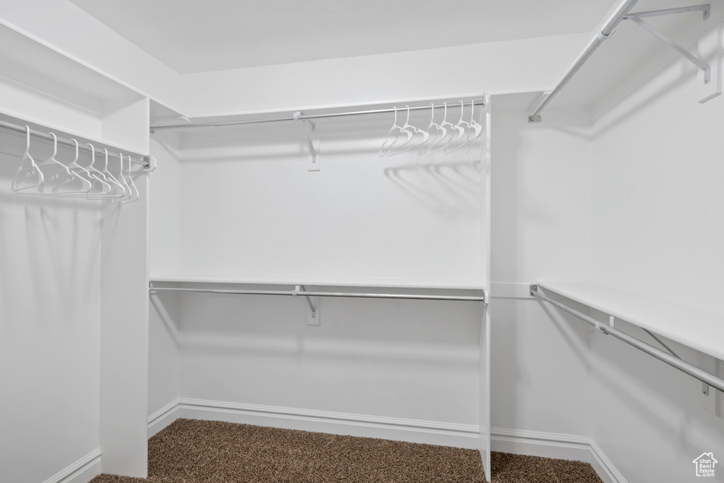 Spacious closet featuring carpet