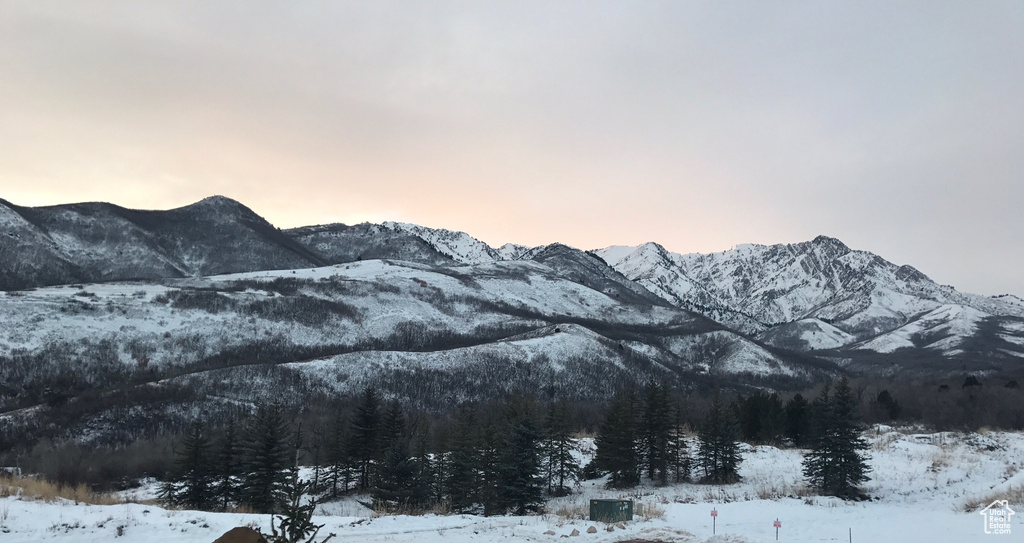 Mountain view