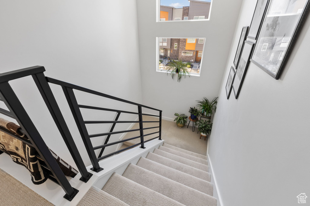 Stairs with carpet and baseboards