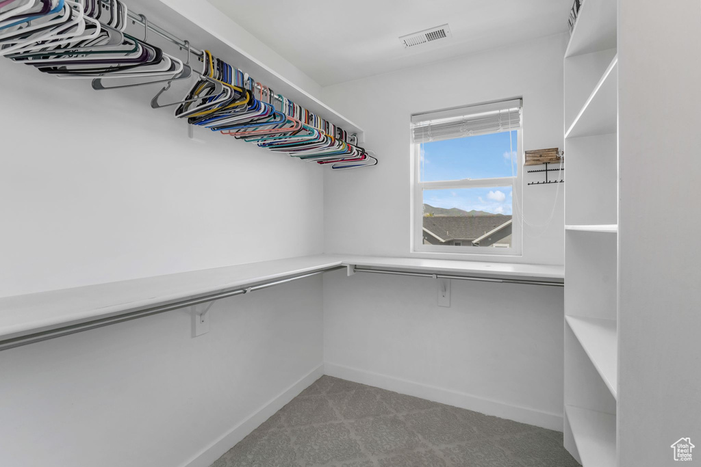 Walk in closet with carpet floors