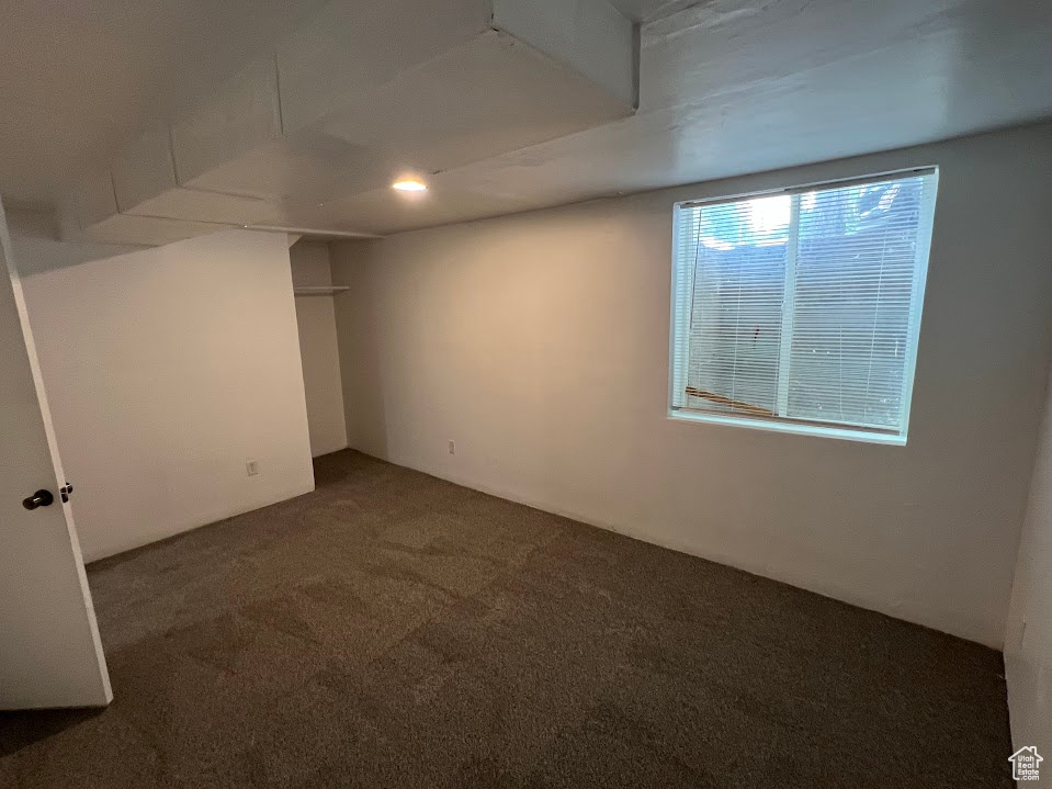 Basement featuring carpet floors