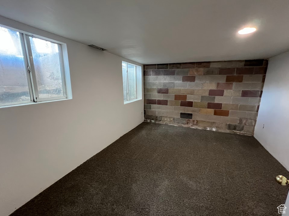 Basement with carpet floors and plenty of natural light