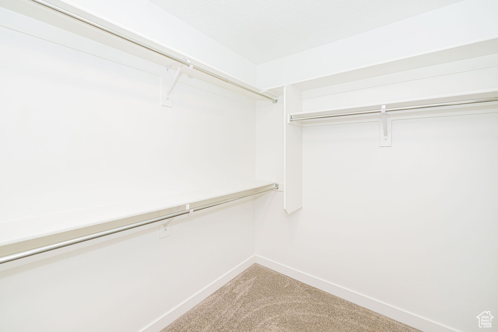 Spacious closet with carpet floors