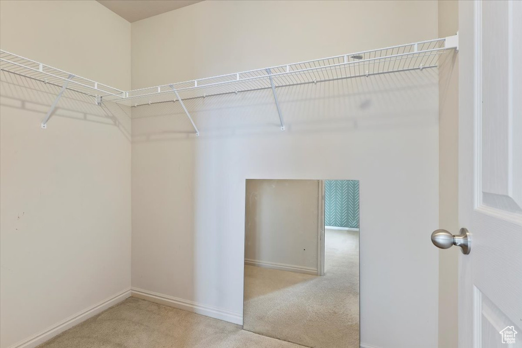 Spacious closet featuring carpet flooring