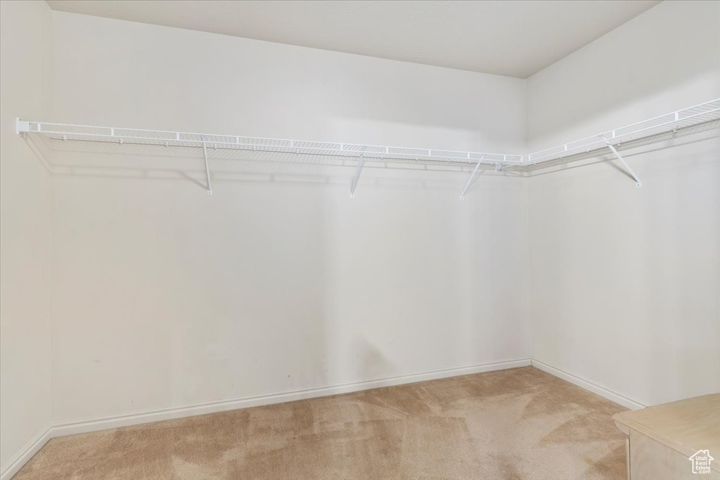 Spacious closet with light carpet