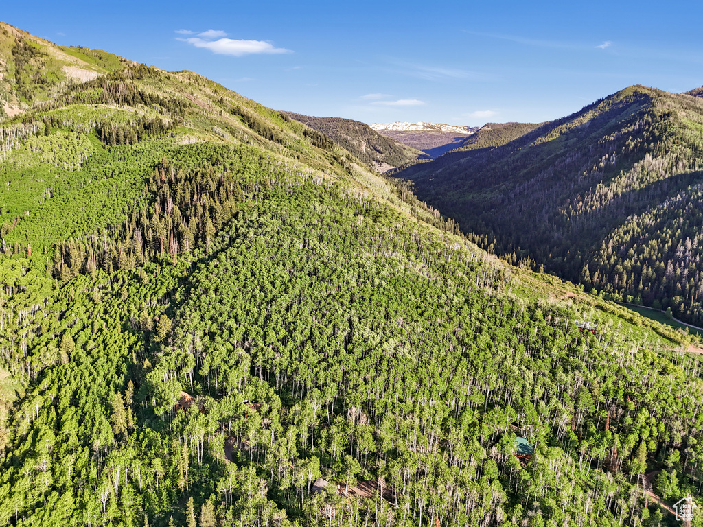View of mountain backdrop featuring a forest