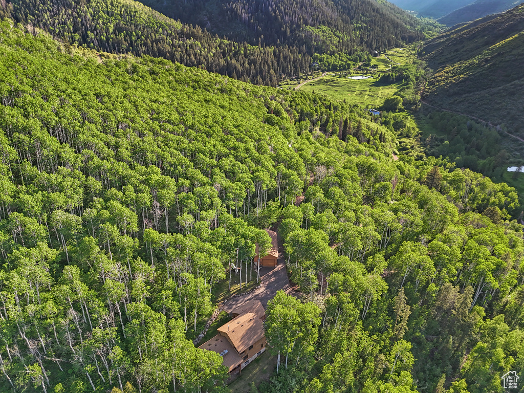 Aerial overview of property's location featuring a forest and mountains