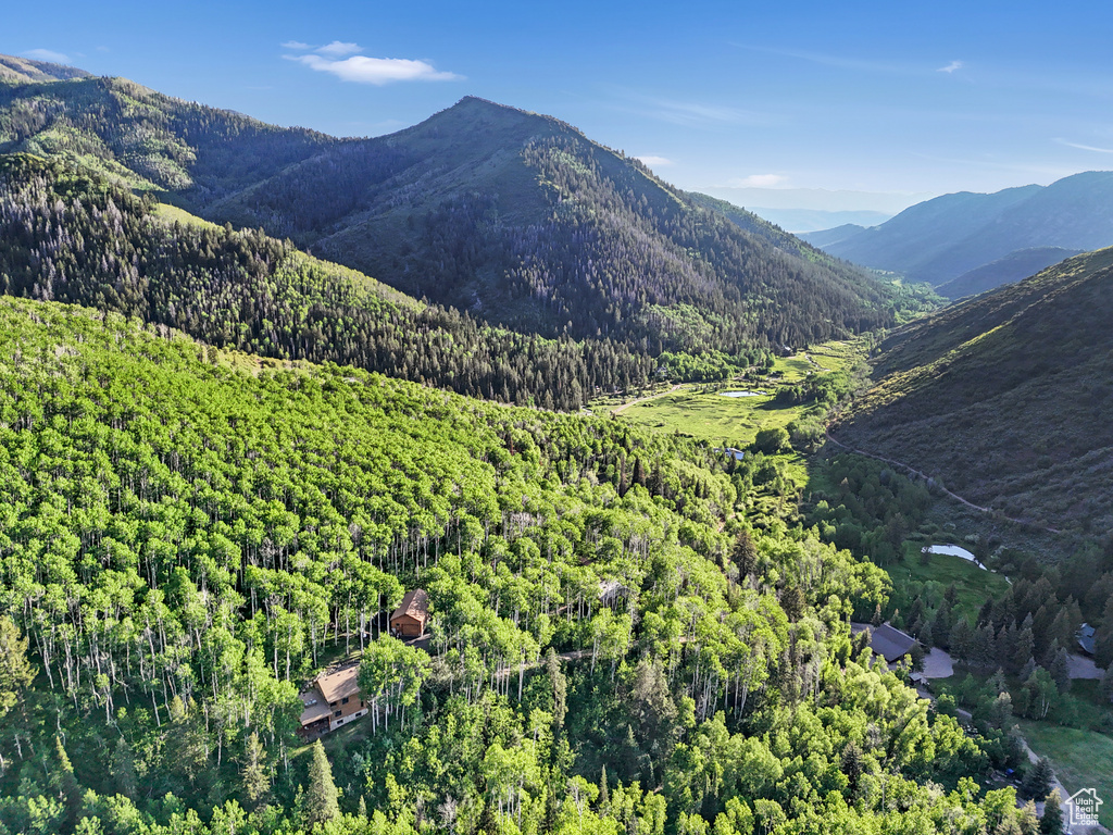 View of mountain backdrop featuring a forest