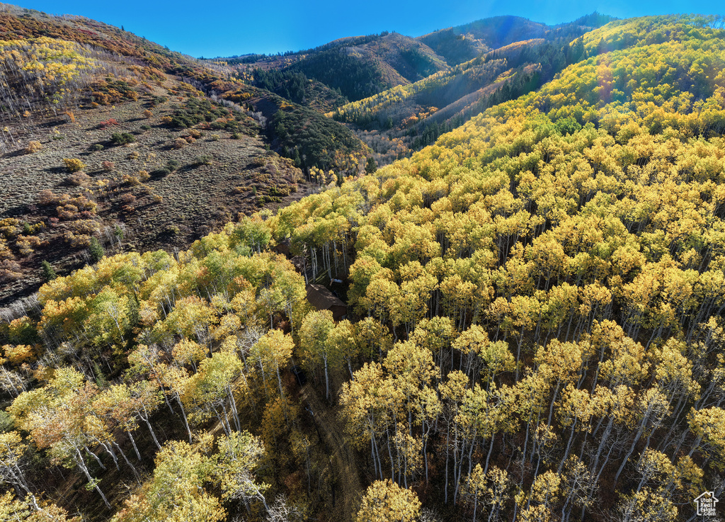 Photo 9 for MLS #2091551 at 2190 Nix Canyon Rd