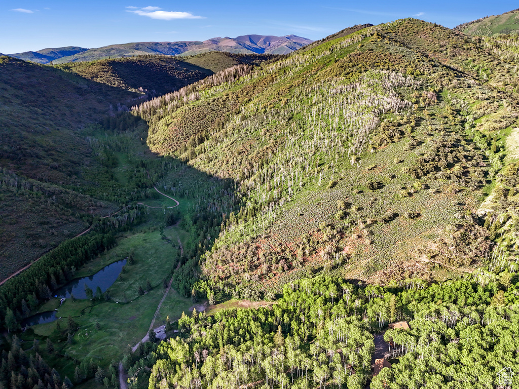 View of mountain background featuring a heavily wooded area and a large body of water