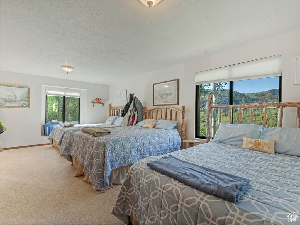 Bedroom with carpet flooring, multiple windows, and a textured ceiling