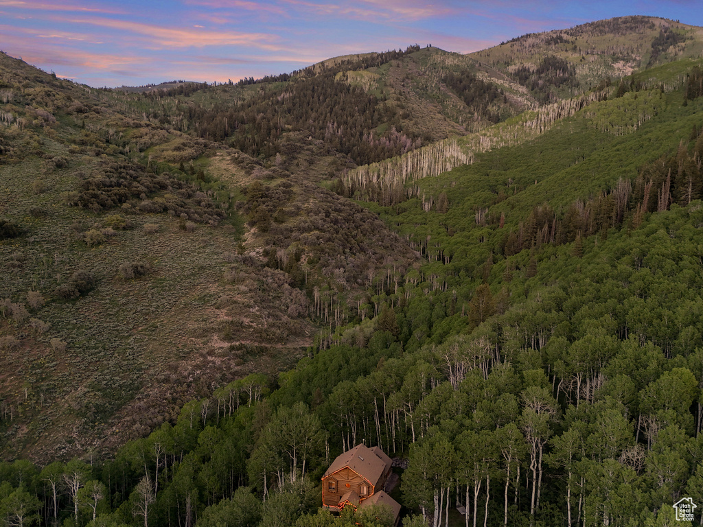 Mountain view featuring a forest