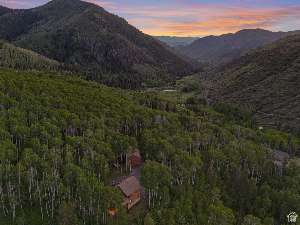 Mountain view with a heavily wooded area