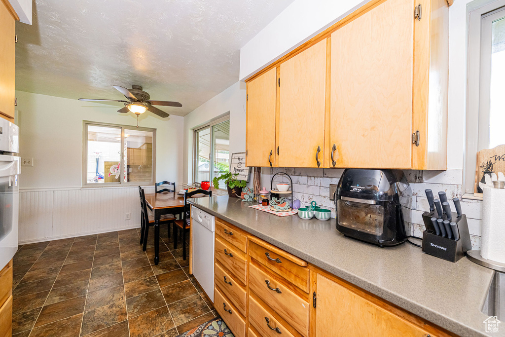 Kitchen with white dishwasher, healthy amount of natural light, a ceiling fan, tasteful backsplash, and wainscoting