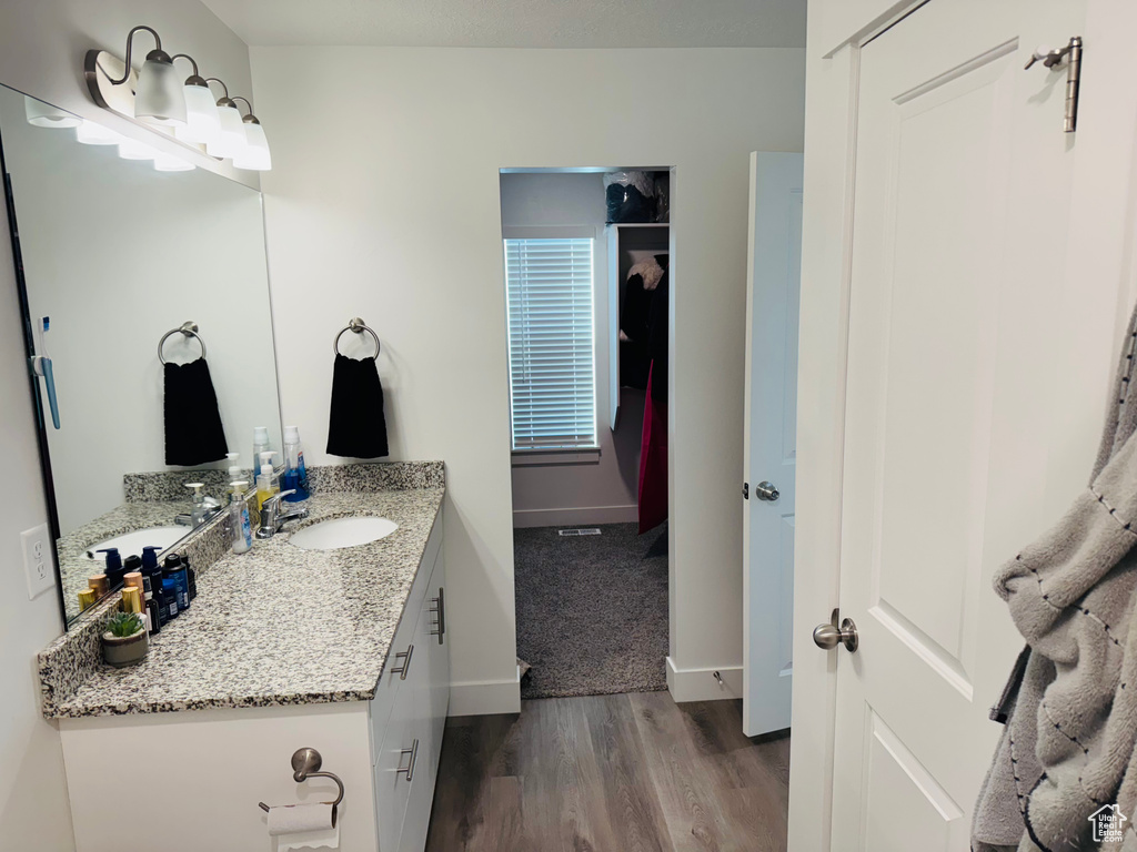 Bathroom featuring wood finished floors and vanity