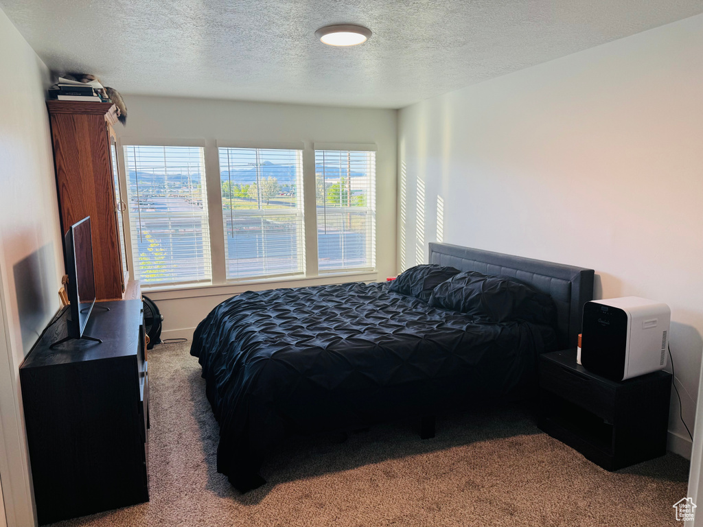 Carpeted bedroom featuring a textured ceiling