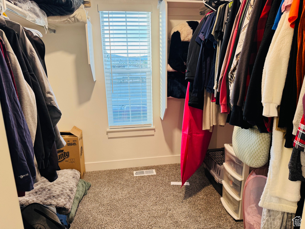 Spacious closet featuring carpet
