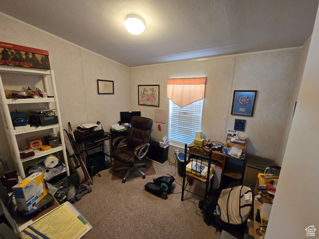Office space featuring ornamental molding, carpet floors, a textured ceiling, and vaulted ceiling